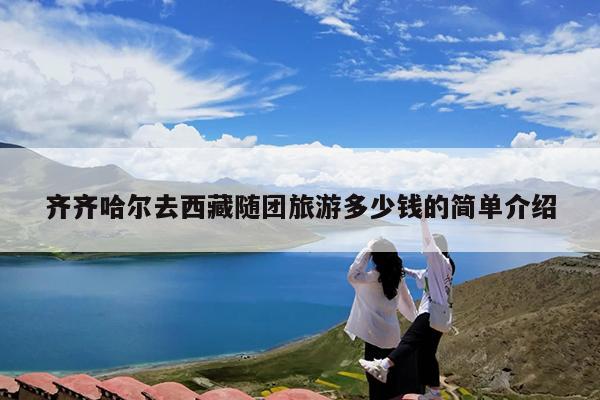 齐齐哈尔去西藏随团旅游多少钱的简单介绍