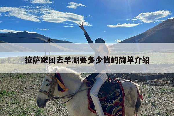 拉萨跟团去羊湖要多少钱的简单介绍