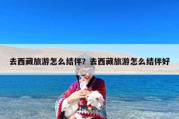 去西藏旅游怎么结伴?去西藏旅游怎么结伴好